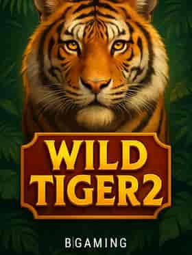 bgaming/wild-tiger-2